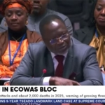 ECOWAS to deploy 1,650 personnel to fight terrorism in West Africa