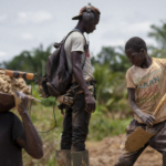 Empower chiefs, youth with Incentives to win galamsey battle – Centre for Climate Change and Food Security 1 empower chiefs youth with incentives to win galamsey battle centre for climate change and food security