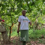 REDD+ initiative empowers Ghana’s cocoa farmers to protect forests and boost incomes 4 REDD+ initiative empowers Ghana’s cocoa farmers to protect forests and boost incomes