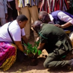 Regreening Africa Initiative launches 2nd Phase to combat land degradation and boost climate resilience