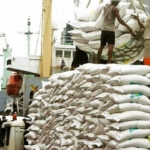 Rice glut deepens as farmers struggle to sell last year’s harvest 4 Rice glut deepens as farmers struggle to sell last year’s harvest