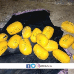 Two arrested for possession of narcotics 1 two arrested for possession of narcotics