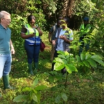 Ghanaian cocoa communities mobilised against galamsey to protect livelihoods and environment
