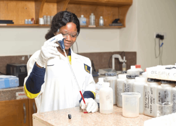 Gold Fields Ghana Foundation empowers youth through education and skills training