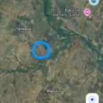 Gunmen abduct wealthy cattle owner in Tindugu in Saboba district 3 Gunmen abduct wealthy cattle owner in Tindugu in Saboba district