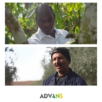 Is Climate Financing Helping African Businesses Grow?