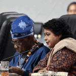 Obasanjo praises Mahama’s vision for Global South Reform at G20