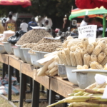 Photos: Ghana celebrates 41st National Farmers’ Day