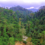 Revocation of L.I. 2462 step in the right direction – Lands Ministry Spokesperson