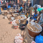 Source to survival: The unsung heroes fueling Ghana’s food security
