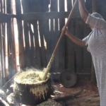 The challenges of embracing new energy: Rural Ahafo women on Ghana’s clean energy transition 4 The challenges of embracing new energy: Rural Ahafo women on Ghana’s clean energy transition