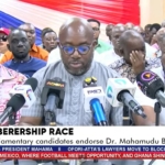 Bawumia projected to win over 65% in NPP primaries – Egyapa Mercer