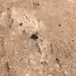 Gunshots, acid attack reported in Ekumfi Eyisam–Edumadze youth clash 6 Gunshots, acid attack reported in Ekumfi Eyisam–Edumadze youth clash