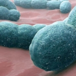 Health Ministry renews meningitis alert as dry season heightens outbreak risk 1 health ministry renews meningitis alert as dry season heightens outbreak risk