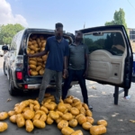 Police seize over 1,600 parcels of suspected narcotic drugs in major bust 1 police seize over 1600 parcels of suspected narcotic drugs in major bust