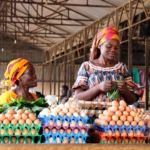 SMEs optimistic about business growth in 2026