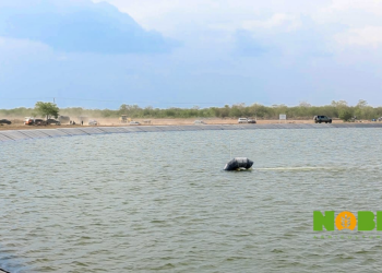 At Nobi Agriculture, scale and systems redefine farming in Ghana