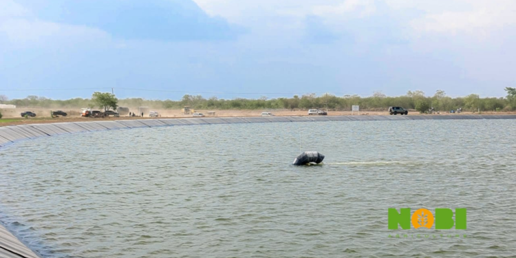 at nobi agriculture scale and systems redefine farming in ghana