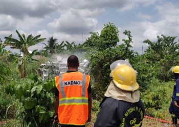 Bees kill a three-year-old boy, injure 10 in Agona Swedru