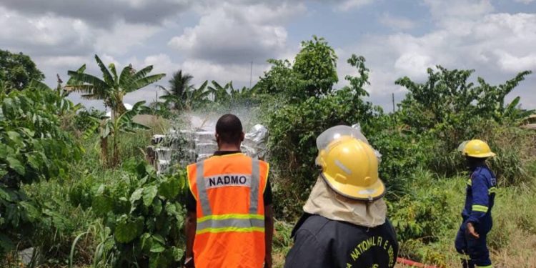 Bees kill a three-year-old boy, injure 10 in Agona Swedru 1 bees kill a three year old boy injure 10 in agona swedru