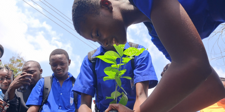 CSIR-FORIG takes climate education to schools, urges students to protect Ghana’s environment 1 csir forig takes climate education to schools urges students to protect ghanas environment