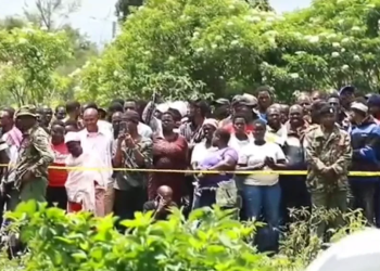 Dozens of bodies, mostly infants, discovered in Kenya mass grave