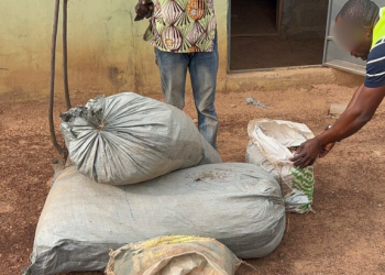 Drug suspect arrested after attempting GH¢20,000 bribe to police in Tamale