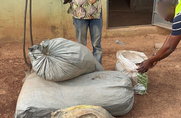 Drug suspect arrested after attempting GH¢20,000 bribe to police in Tamale 1 drug suspect arrested after attempting ghc2a220000 bribe to police in tamale