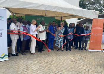 Efficient seed distribution critical to 24-hour economy agricultural targets – Authority