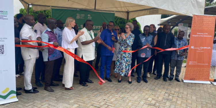 efficient seed distribution critical to 24 hour economy agricultural targets authority