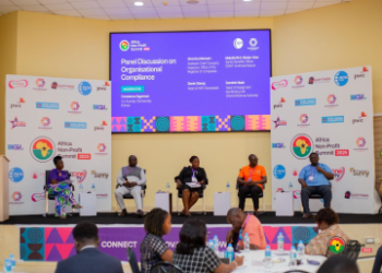 Empowering nonprofits article for sustainable impact