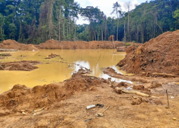 Forestry Commission foils armed attack at Subri River forest reserve