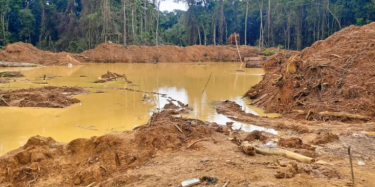 forestry commission foils armed attack at subri river forest reserve