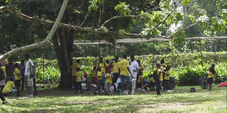 gami students explore ghanas heritage with educational tour to aburi botanical gardens