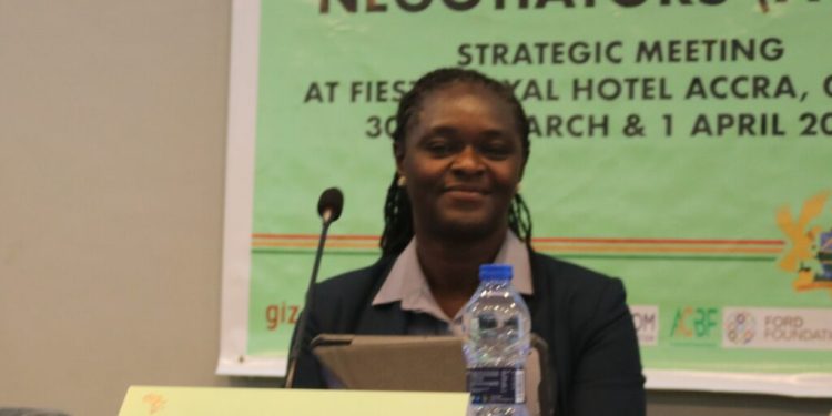 Ghana hosts high-level African climate strategy meeting ahead of COP31 and COP32 1 ghana hosts high level african climate strategy meeting ahead of cop31 and cop32