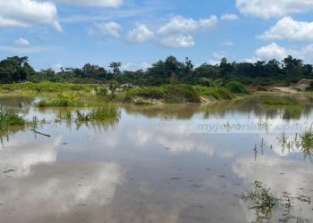 Ghana must lead Africa in criminalising environmental destruction – Annoh-Dompreh 3 Ghana must lead Africa in criminalising environmental destruction – Annoh-Dompreh