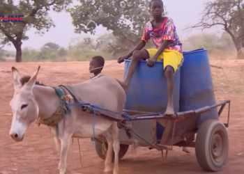 Hotline Documentary: Thirst in the North; Residents resort to sharing water with livestock