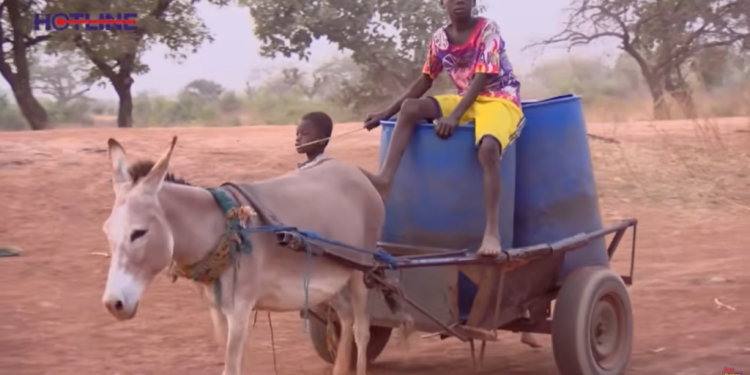 hotline documentary thirst in the north residents resort to sharing water with livestock