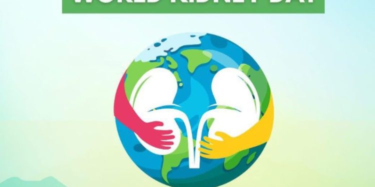 kidney health in the spotlight sheild ghana issues urgent call for national action on world kidney day