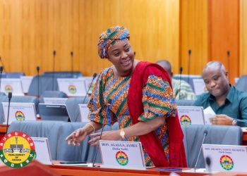 Kintampo South MP advocates proportional representation to promote gender equity in governance