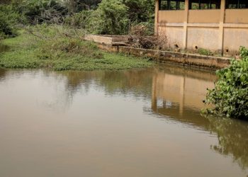 MiDA CEO raises alarm over ‘Wasted Agricultural Assets’