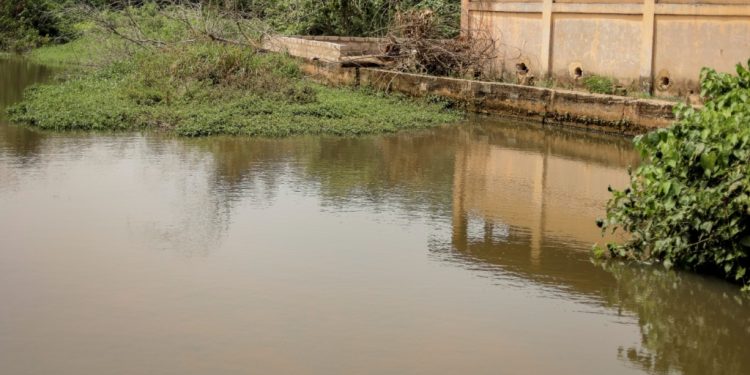 mida ceo raises alarm over wasted agricultural assets