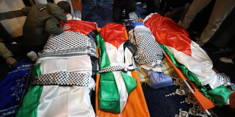 ‘My mother cried out one last time’: Palestinian boy, 12, describes how Israeli forces killed his family in car 1 my mother cried out one last time palestinian boy 12 describes how israeli forces killed his family in car