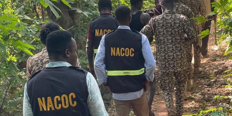 nacoc bono east command arrests 6 in operation clean street in donkor nkwanta