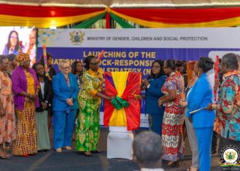 NDPC DG urges shift to resilient, shock-responsive social protection systems