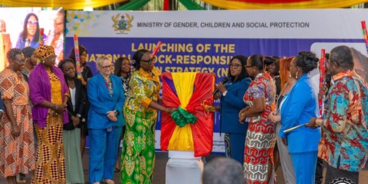 ndpc dg urges shift to resilient shock responsive social protection systems