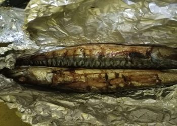 Older mangrove woods for smoking fish contain high levels of cancer-causing agents – KNUST study