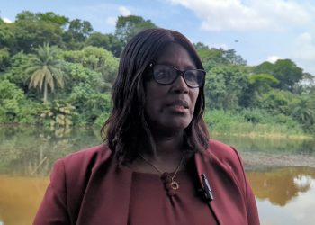 Scientists from Ghana, Brazil and UK gather in Kumasi to tackle biodiversity crisis with technology 7 Scientists from Ghana, Brazil and UK gather in Kumasi to tackle biodiversity crisis with technology