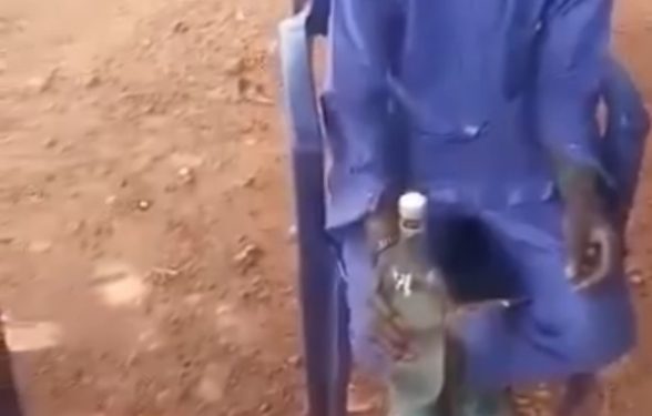 sukudai cocktail may pose serious kidney and liver risks after lab tests kill rats within 24 hours