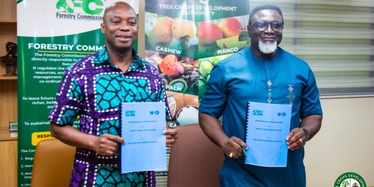 tcda forestry commission roll out nationwide crackdown on tree crop transport